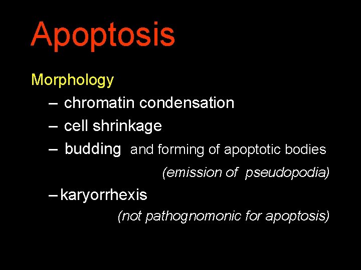 Apoptosis Morphology – chromatin condensation – cell shrinkage – budding and forming of apoptotic