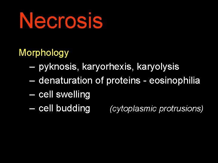 Necrosis Morphology – pyknosis, karyorhexis, karyolysis – denaturation of proteins - eosinophilia – cell