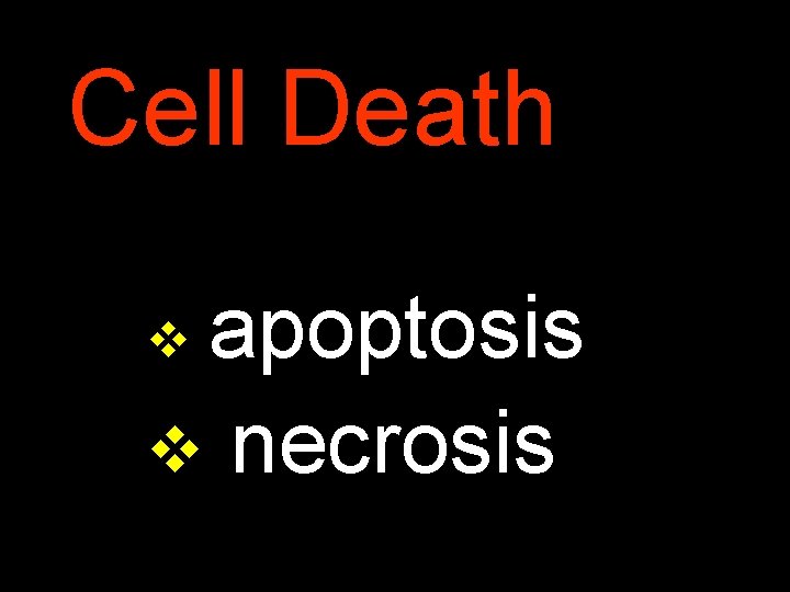 Cell Death apoptosis v necrosis v 