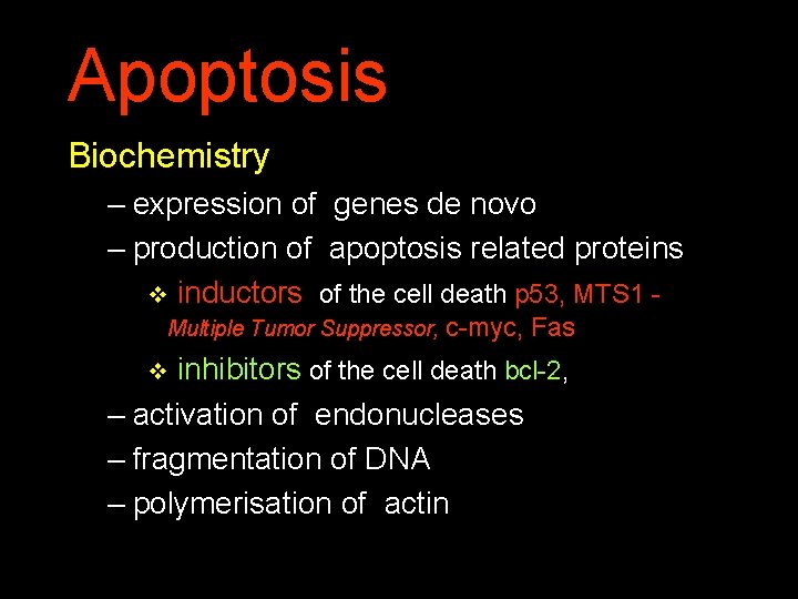 Apoptosis Biochemistry – expression of genes de novo – production of apoptosis related proteins