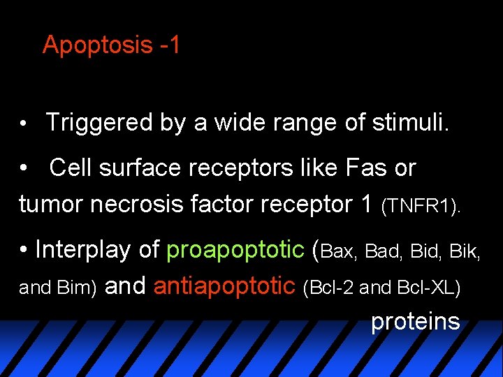 Apoptosis -1 • Triggered by a wide range of stimuli. • Cell surface receptors