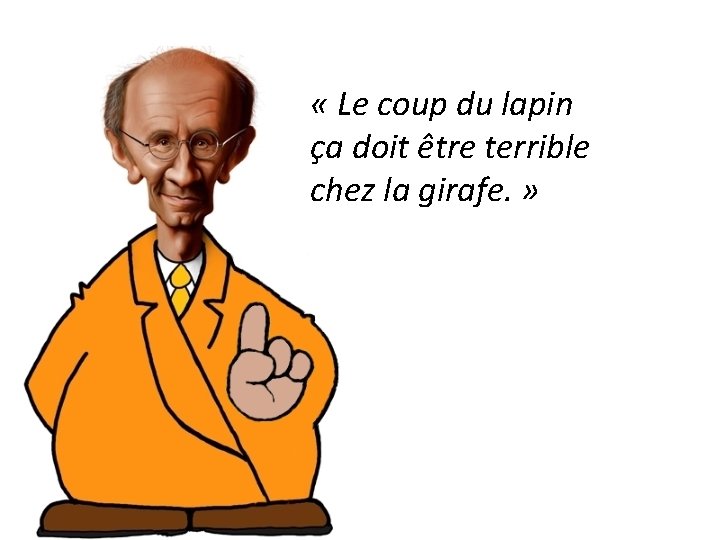  « Le coup du lapin ça doit être terrible chez la girafe. »