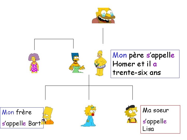 Mon père s’appelle Homer et il a trente-six ans Mon frère Ma soeur s’appelle