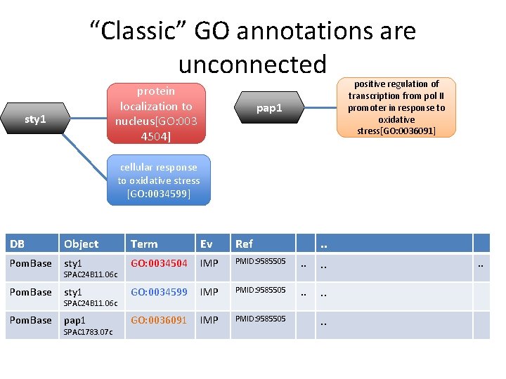 “Classic” GO annotations are unconnected protein localization to nucleus[GO: 003 4504] sty 1 positive