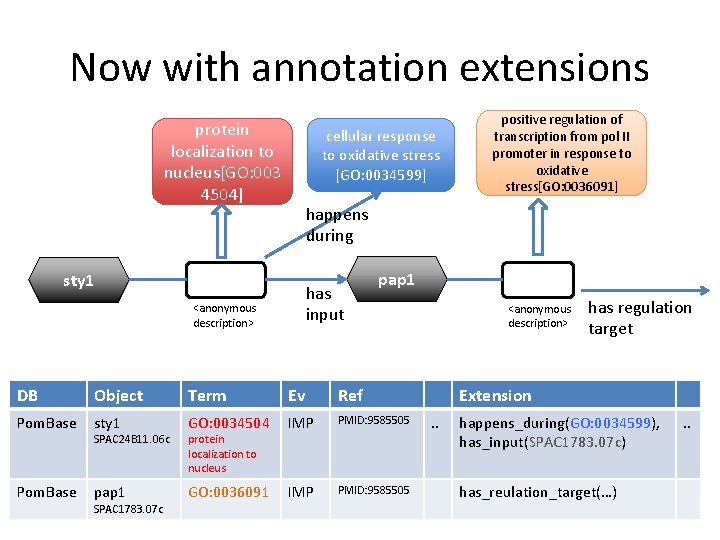 Now with annotation extensions protein localization to nucleus[GO: 003 4504] cellular response to oxidative