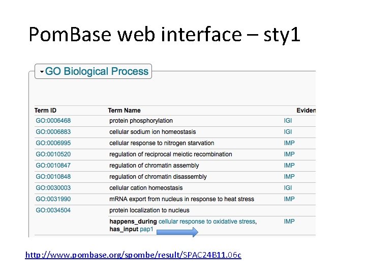 Pom. Base web interface – sty 1 http: //www. pombase. org/spombe/result/SPAC 24 B 11.