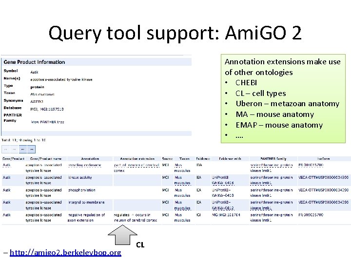 Query tool support: Ami. GO 2 Annotation extensions make use of other ontologies • Query tool support: Ami. GO 2 Annotation extensions make use of other ontologies •
