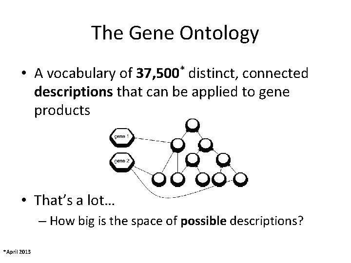The Gene Ontology • A vocabulary of 37, 500* distinct, connected descriptions that can