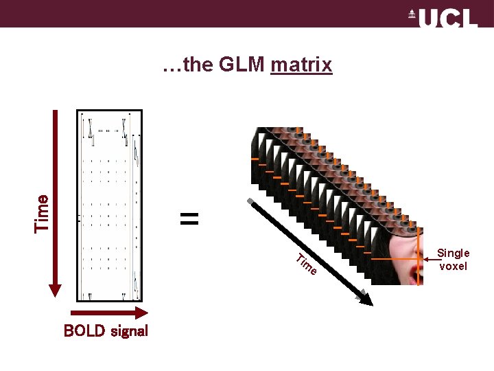 …the GLM matrix Time One response… = . . . over time Ti BOLD
