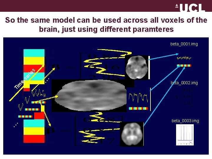 So the same model can be used across all voxels of the brain, just