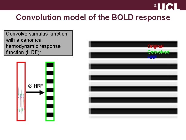 Convolution model of the BOLD response Convolve stimulus function with a canonical hemodynamic response
