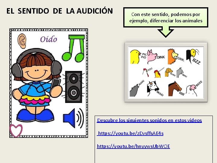 EL SENTIDO DE LA AUDICIÓN Con este sentido, podemos por ejemplo, diferenciar los animales