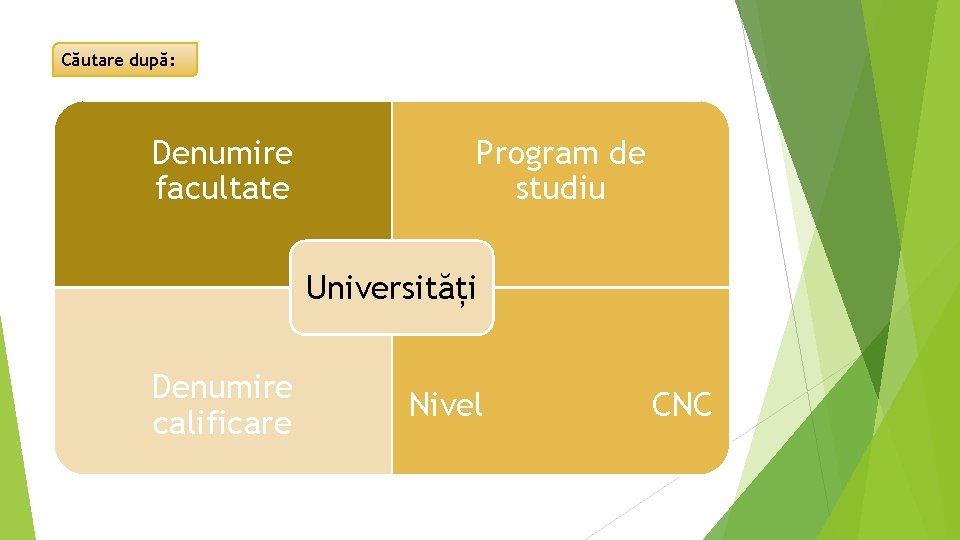 Căutare după: Denumire facultate Program de studiu Universități Denumire calificare Nivel CNC 