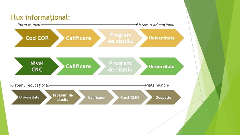 Flux informațional: -Piața muncii Sistemul educațional- Cod COR Calificare Program de studiu Universitate Nivel