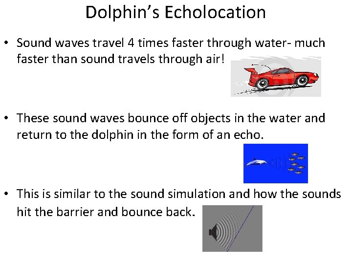 Dolphin’s Echolocation • Sound waves travel 4 times faster through water- much faster than