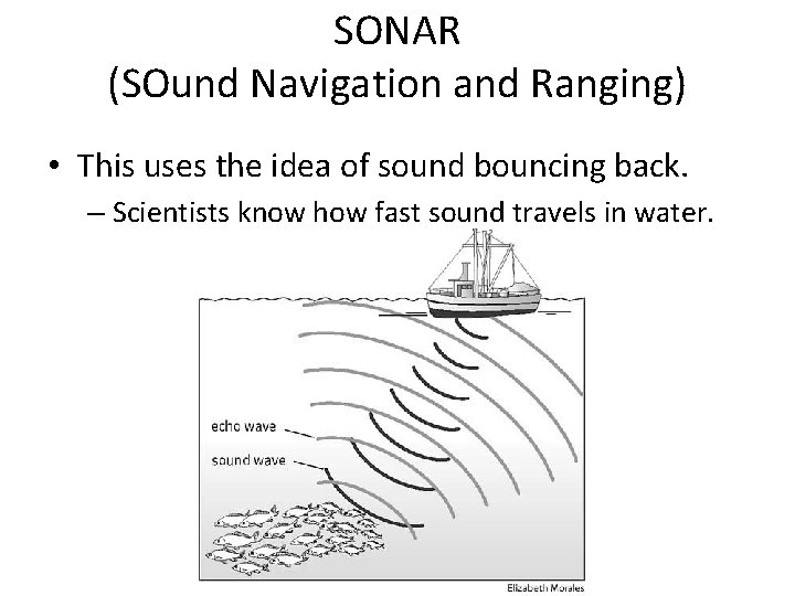 SONAR (SOund Navigation and Ranging) • This uses the idea of sound bouncing back.