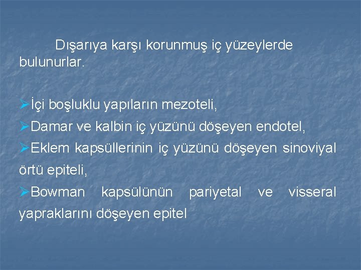 Dışarıya karşı korunmuş iç yüzeylerde bulunurlar. Øİçi boşluklu yapıların mezoteli, ØDamar ve kalbin iç