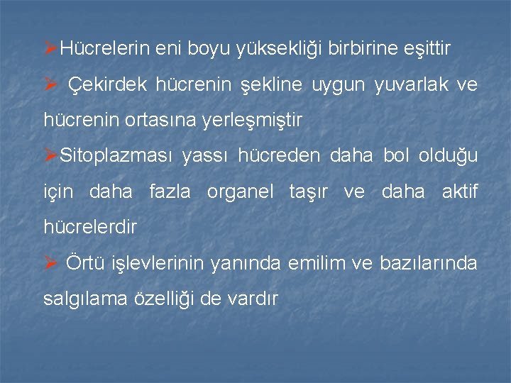 ØHücrelerin eni boyu yüksekliği birbirine eşittir Ø Çekirdek hücrenin şekline uygun yuvarlak ve hücrenin