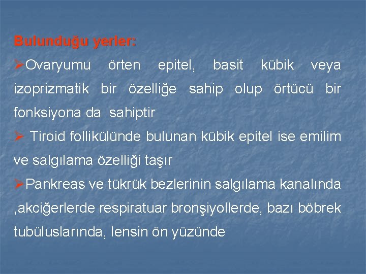 Bulunduğu yerler: ØOvaryumu örten epitel, basit kübik veya izoprizmatik bir özelliğe sahip olup örtücü