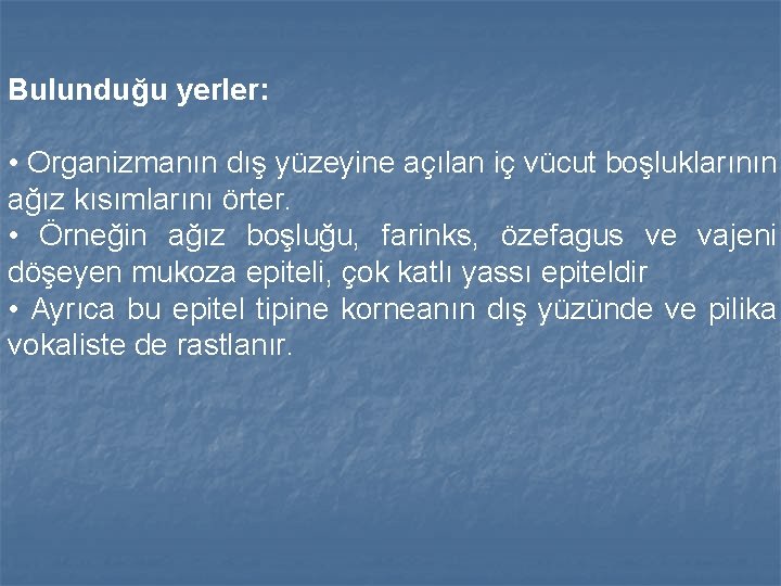 Bulunduğu yerler: • Organizmanın dış yüzeyine açılan iç vücut boşluklarının ağız kısımlarını örter. •