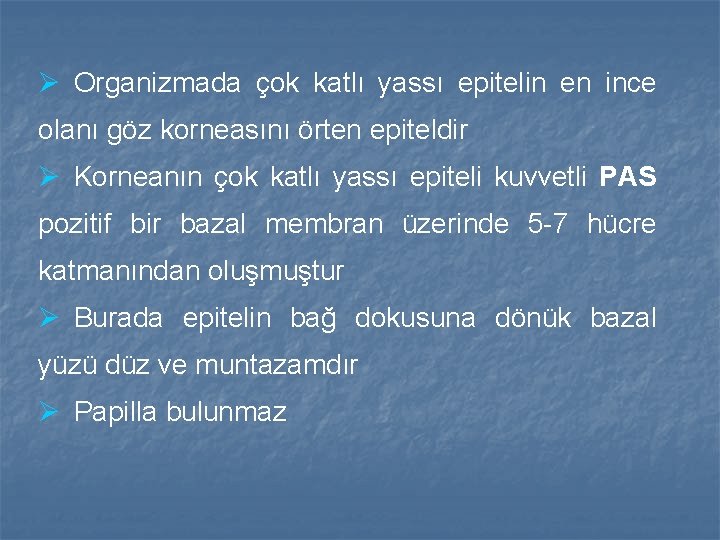 Ø Organizmada çok katlı yassı epitelin en ince olanı göz korneasını örten epiteldir Ø