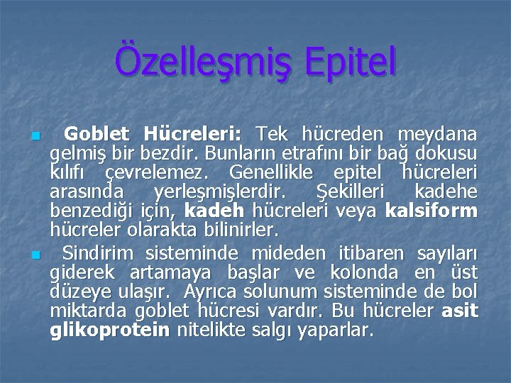 Özelleşmiş Epitel n n Goblet Hücreleri: Tek hücreden meydana gelmiş bir bezdir. Bunların etrafını