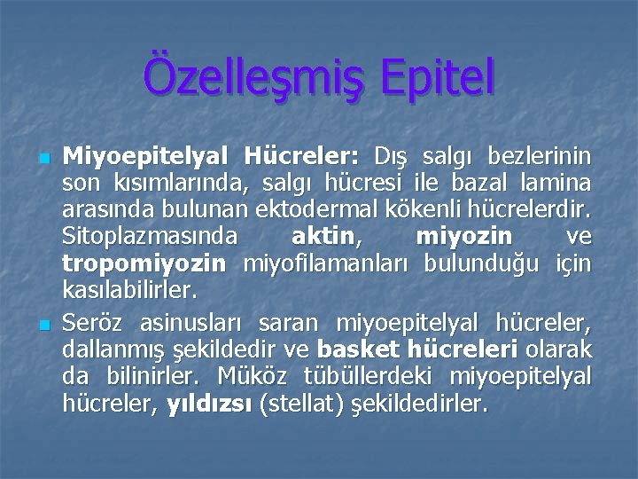 Özelleşmiş Epitel n n Miyoepitelyal Hücreler: Dış salgı bezlerinin son kısımlarında, salgı hücresi ile