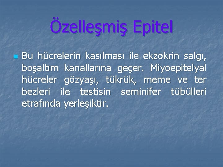 Özelleşmiş Epitel n Bu hücrelerin kasılması ile ekzokrin salgı, boşaltım kanallarına geçer. Miyoepitelyal hücreler