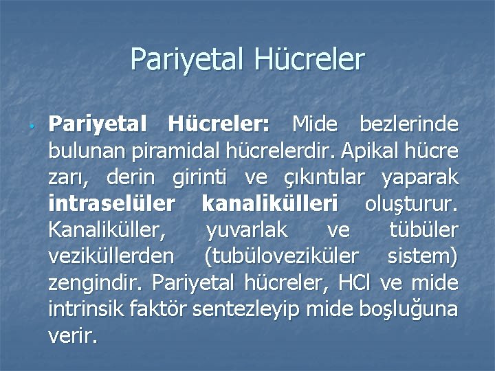 Pariyetal Hücreler • Pariyetal Hücreler: Mide bezlerinde bulunan piramidal hücrelerdir. Apikal hücre zarı, derin