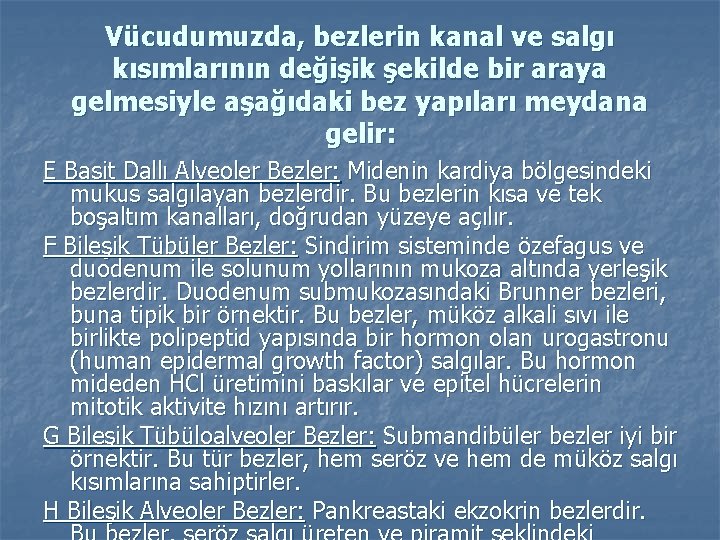 Vücudumuzda, bezlerin kanal ve salgı kısımlarının değişik şekilde bir araya gelmesiyle aşağıdaki bez yapıları