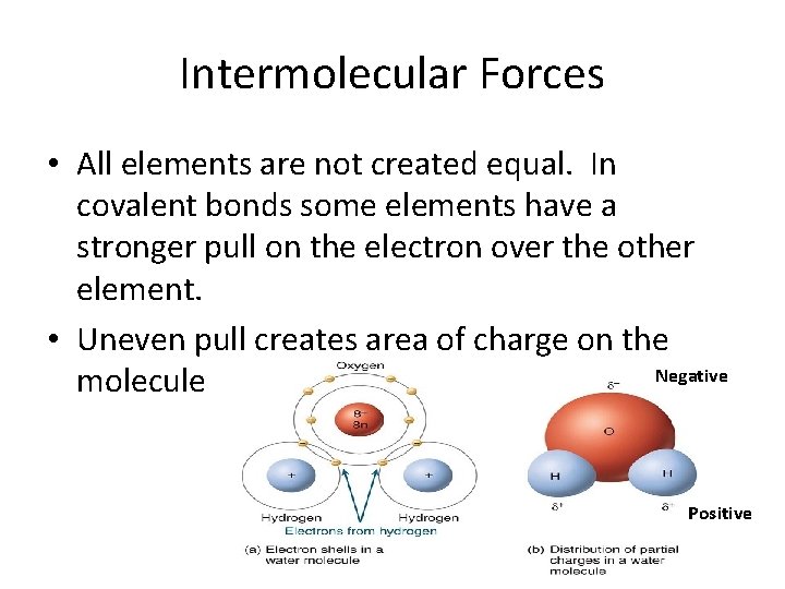 Intermolecular Forces • All elements are not created equal. In covalent bonds some elements