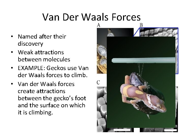 Van Der Waals Forces • Named after their discovery • Weak attractions between molecules