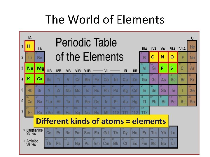 The World of Elements H C Na Mg K N O P S Ca