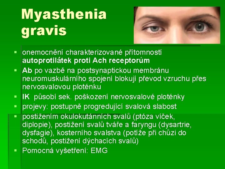 Myasthenia gravis § onemocnění charakterizované přítomností autoprotilátek proti Ach receptorům § Ab po vazbě