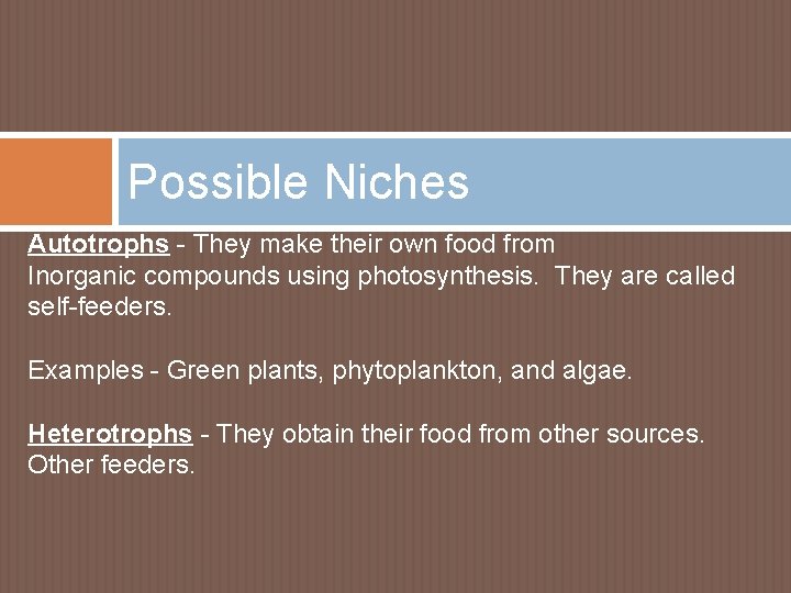 Possible Niches Autotrophs - They make their own food from Inorganic compounds using photosynthesis.