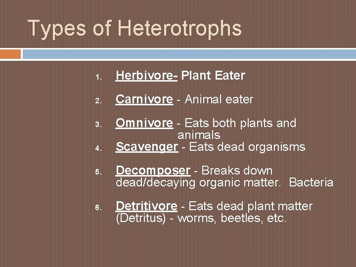 Types of Heterotrophs 1. Herbivore- Plant Eater 2. Carnivore - Animal eater 3. 4.
