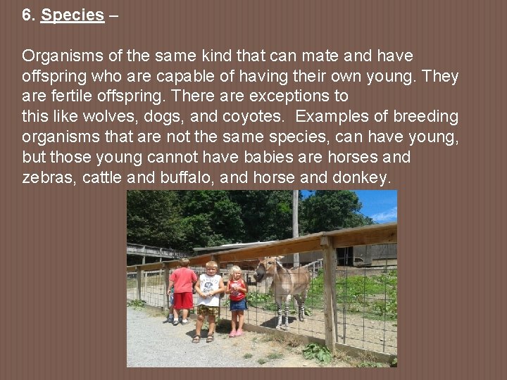 6. Species – Organisms of the same kind that can mate and have offspring