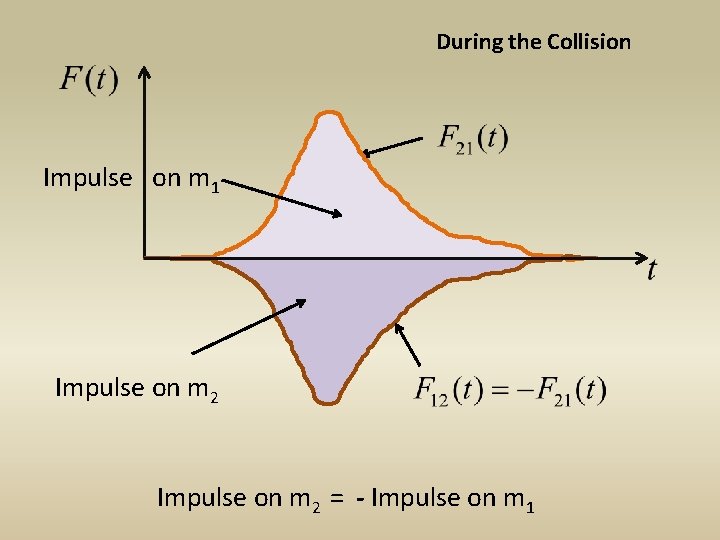 During the Collision Impulse on m 1 Impulse on m 2 = - Impulse