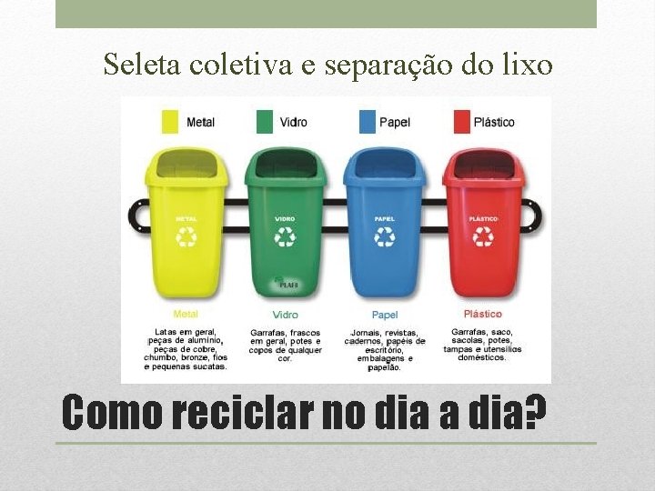 Seleta coletiva e separação do lixo Como reciclar no dia a dia? 