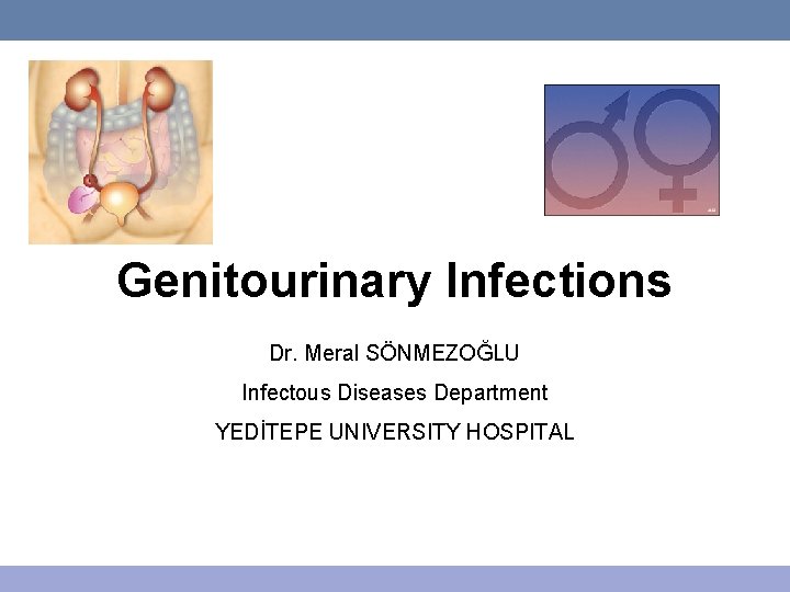 Genitourinary Infections Dr. Meral SÖNMEZOĞLU Infectous Diseases Department YEDİTEPE UNIVERSITY HOSPITAL 