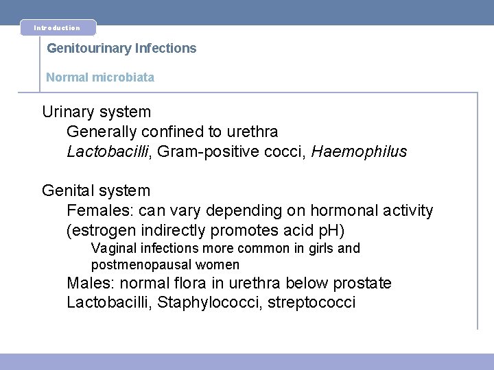 Introduction Genitourinary Infections Normal microbiata Urinary system Generally confined to urethra Lactobacilli, Gram-positive cocci,