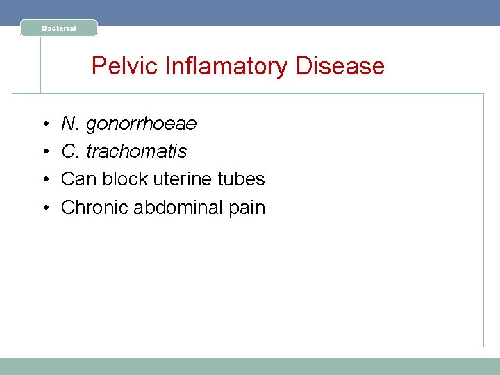 Bacterial Pelvic Inflamatory Disease • • N. gonorrhoeae C. trachomatis Can block uterine tubes