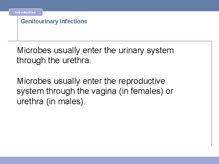 Introduction Genitourinary Infections Microbes usually enter the urinary system through the urethra. Microbes usually