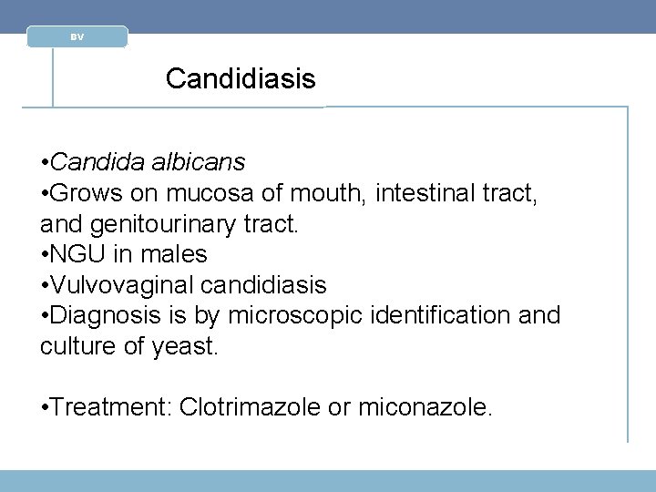 BV Candidiasis • Candida albicans • Grows on mucosa of mouth, intestinal tract, and