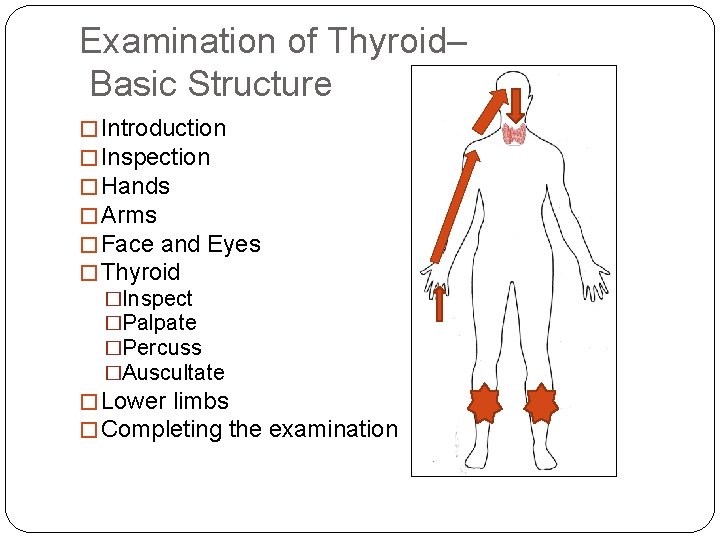Examination of Thyroid– Basic Structure � Introduction � Inspection � Hands � Arms �