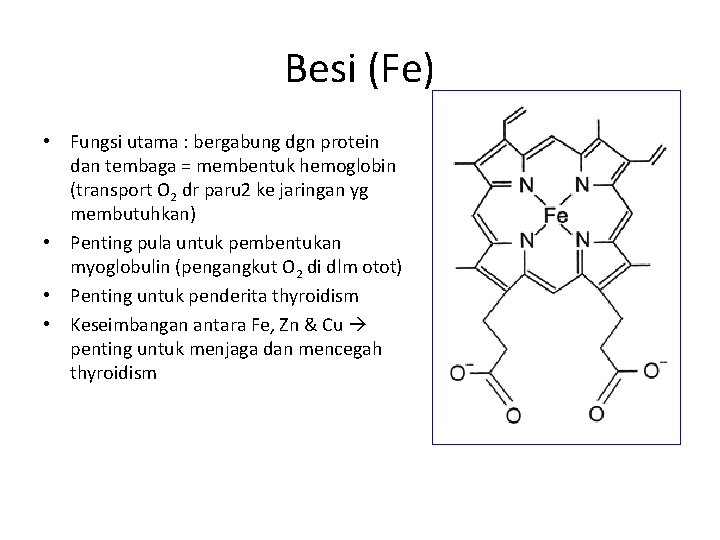 Besi (Fe) • Fungsi utama : bergabung dgn protein dan tembaga = membentuk hemoglobin