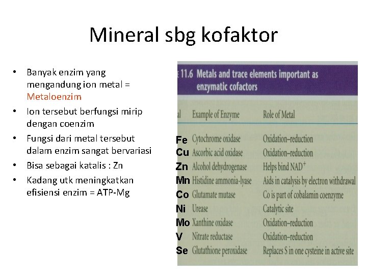 Mineral sbg kofaktor • Banyak enzim yang mengandung ion metal = Metaloenzim • Ion