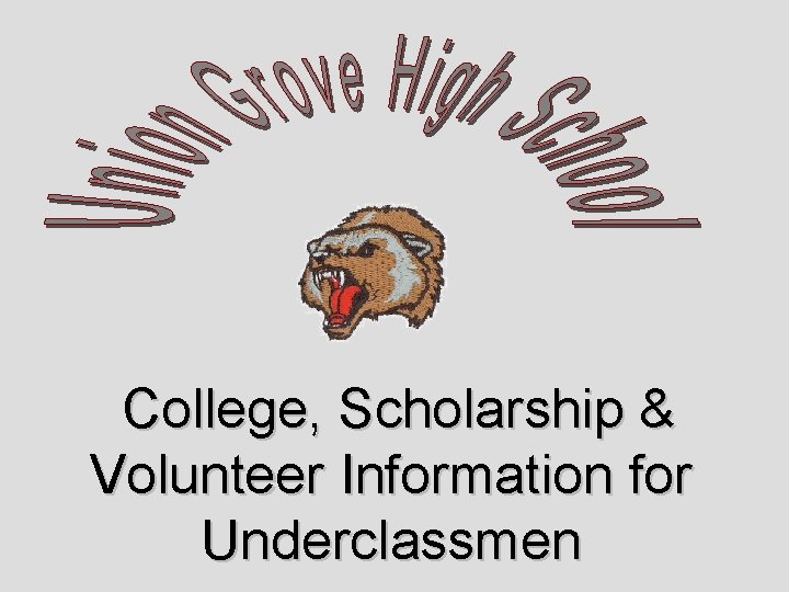 College, Scholarship & Volunteer Information for Underclassmen 