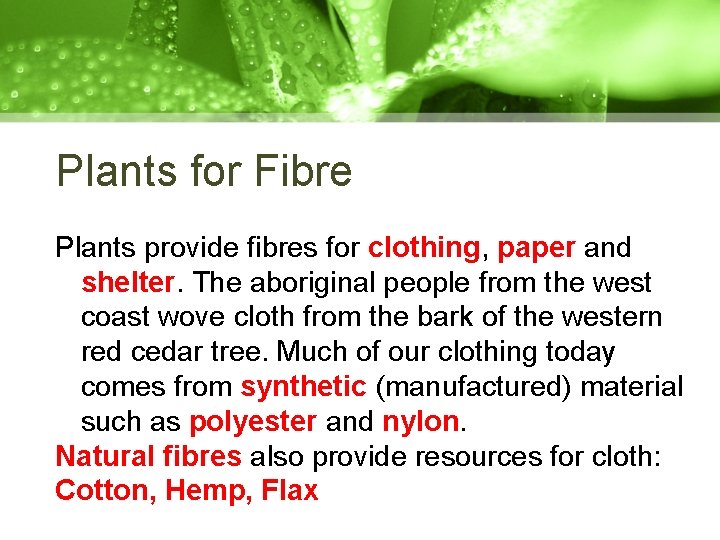 Plants for Fibre Plants provide fibres for clothing, paper and shelter. The aboriginal people Plants for Fibre Plants provide fibres for clothing, paper and shelter. The aboriginal people
