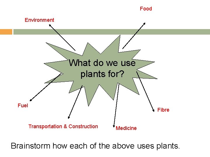 Food Environment What do we use plants for? Fuel Fibre Transportation & Construction Medicine Food Environment What do we use plants for? Fuel Fibre Transportation & Construction Medicine